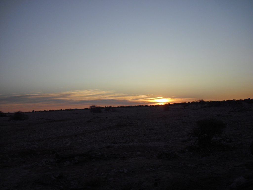 Image CIMG7837.JPG