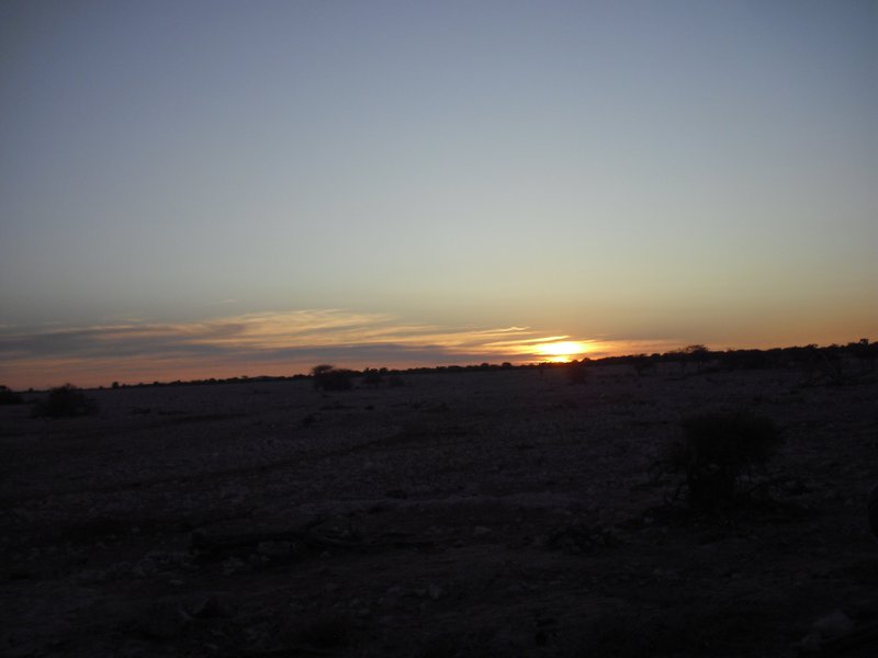 Image CIMG7837.JPG