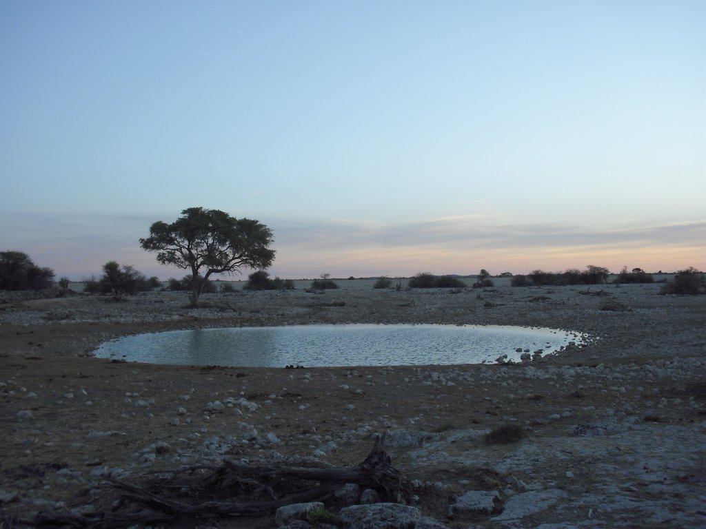 Image CIMG7838.JPG