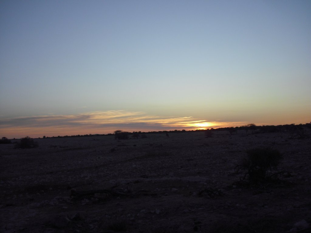 Image CIMG7839.JPG