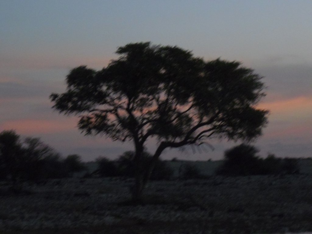 Image CIMG7840.JPG
