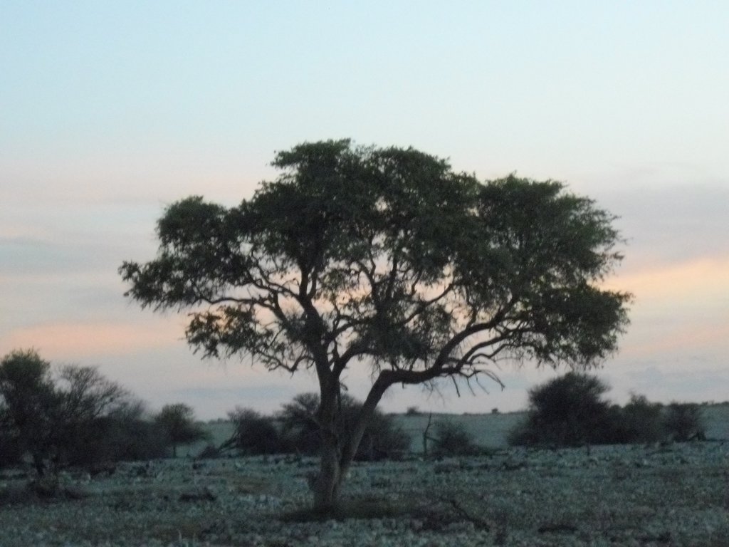 Image CIMG7841.JPG