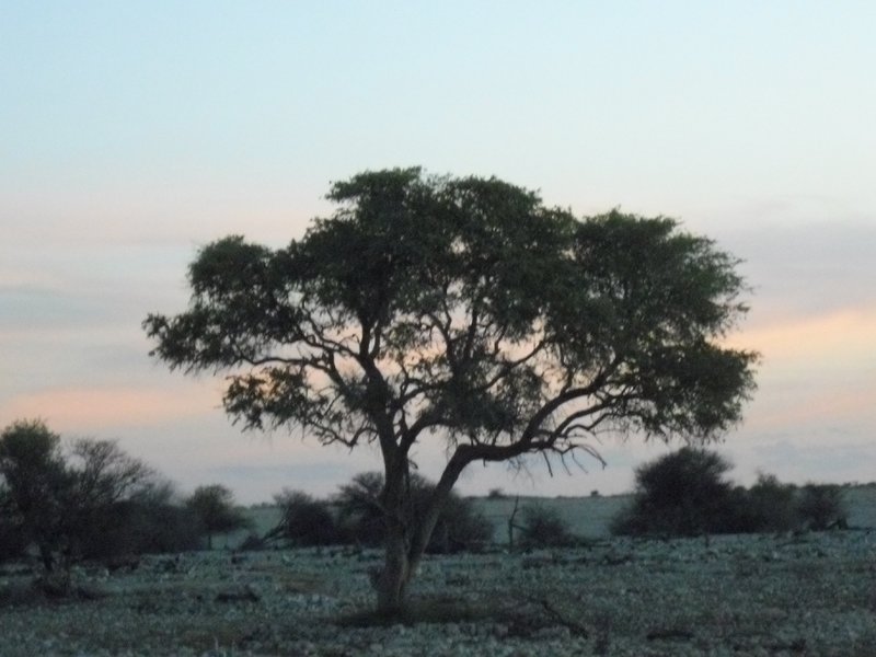 Image CIMG7841.JPG