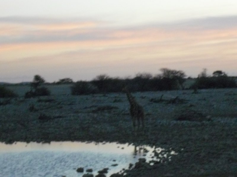 Image CIMG7842.JPG