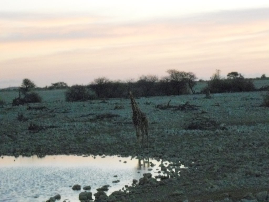 Image CIMG7843.JPG