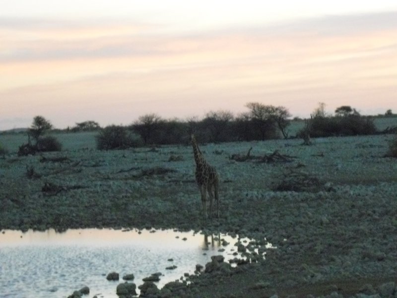 Image CIMG7843.JPG