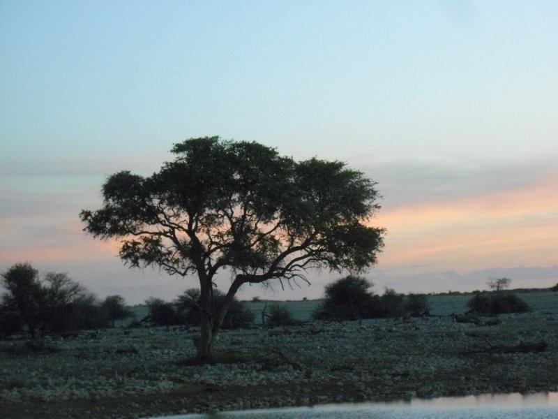 Image CIMG7844.JPG