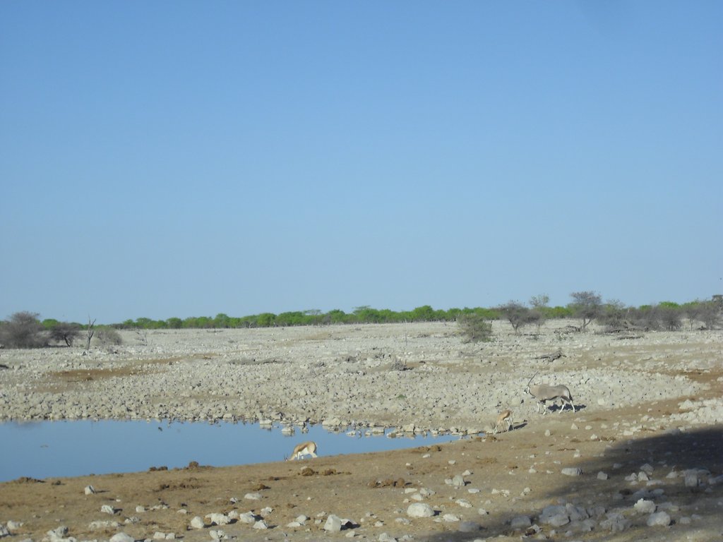 Image CIMG7849.JPG