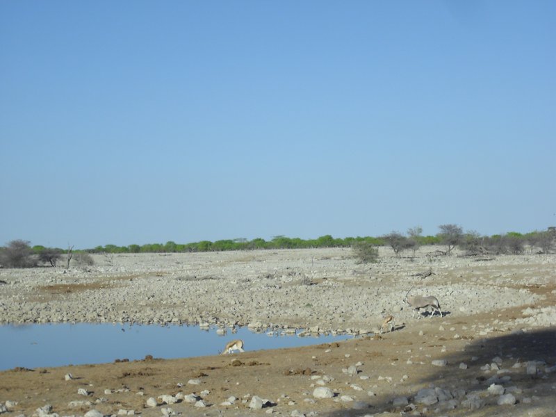 Image CIMG7849.JPG
