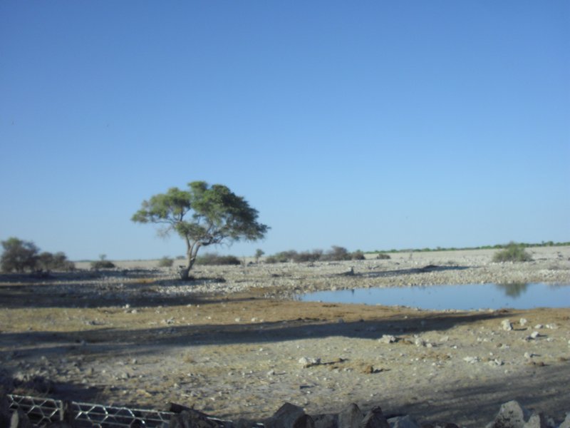 Image CIMG7850.JPG