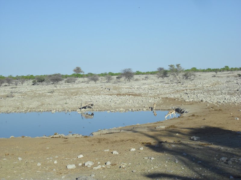 Image CIMG7852.JPG