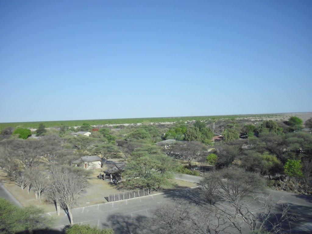 Image CIMG7853.JPG