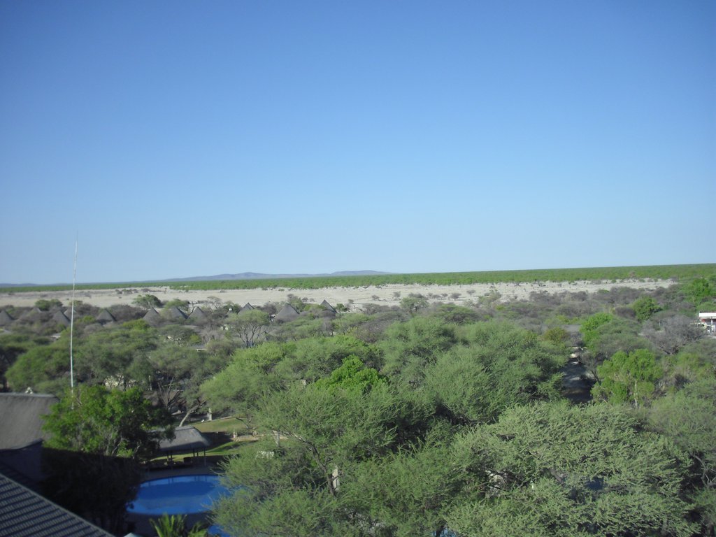 Image CIMG7854.JPG