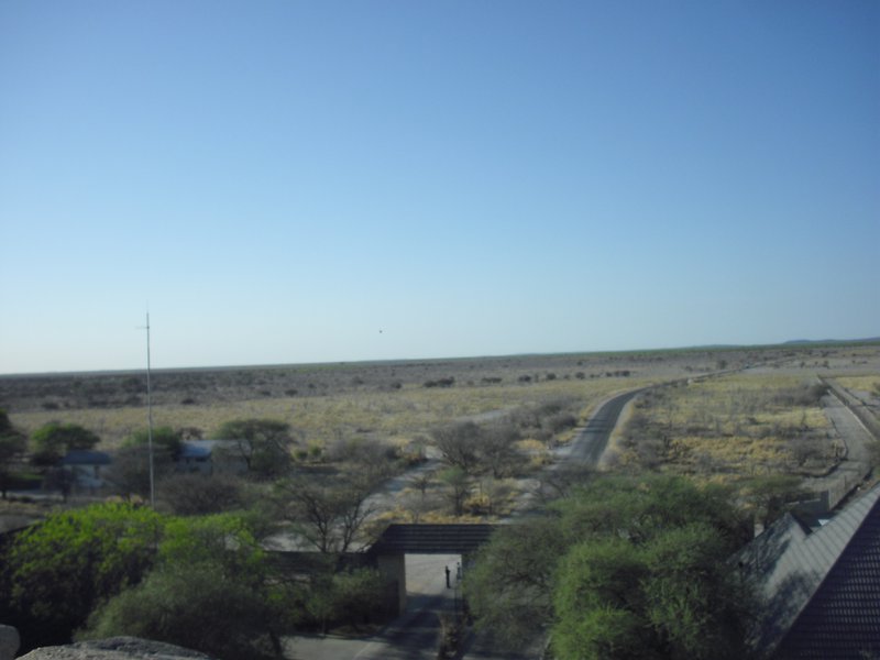 Image CIMG7855.JPG
