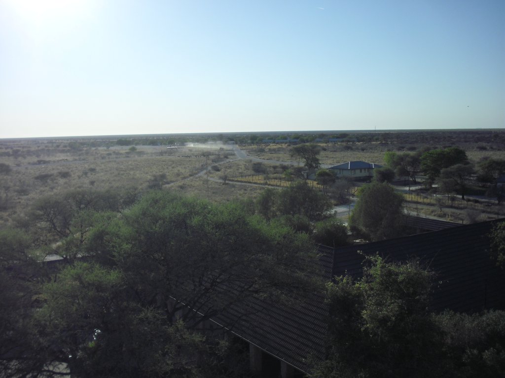 Image CIMG7856.JPG