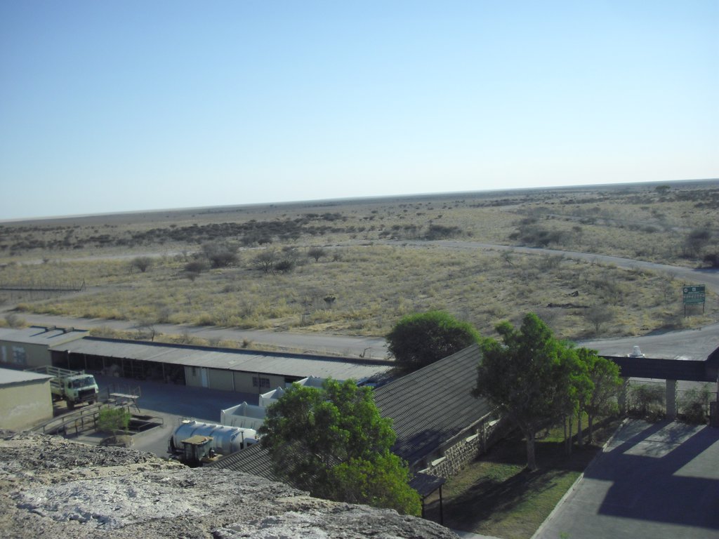 Image CIMG7857.JPG