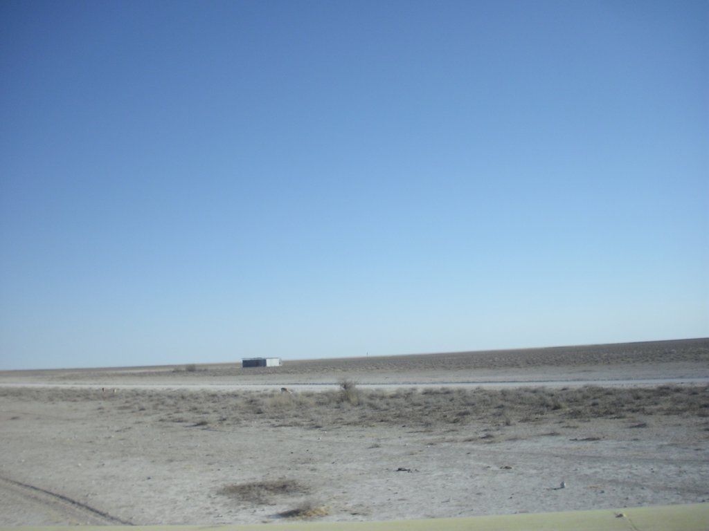 Image CIMG7860.JPG
