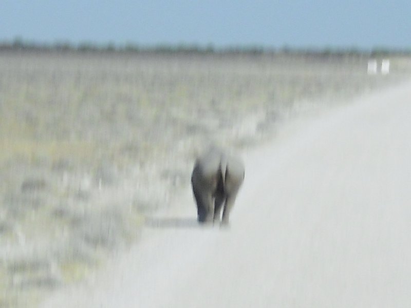 Image CIMG7866.JPG