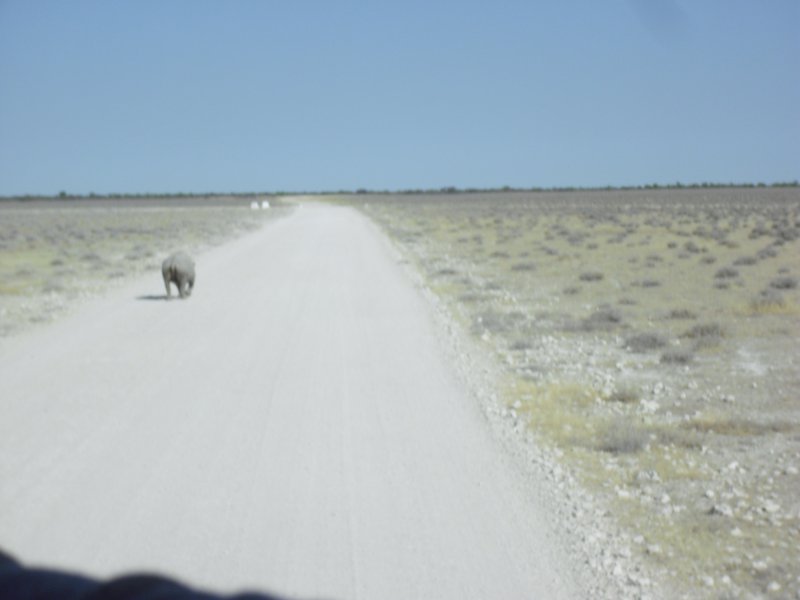 Image CIMG7869.JPG