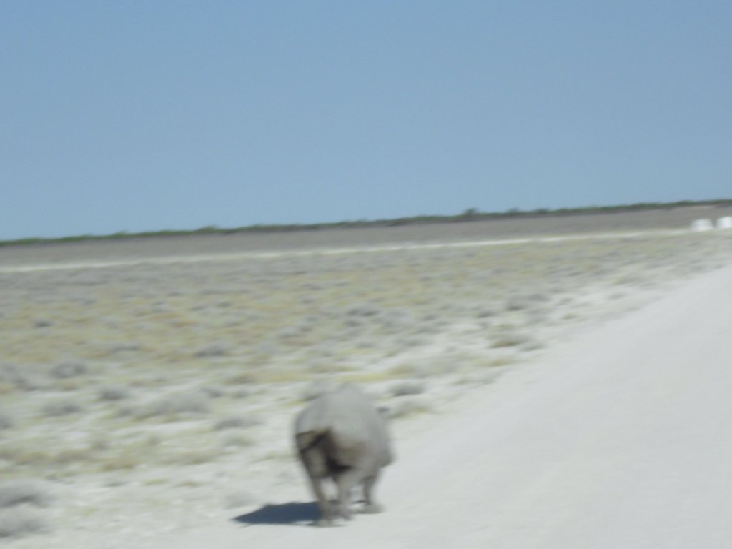 Image CIMG7871.JPG