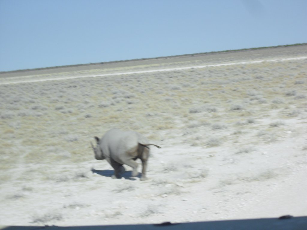 Image CIMG7874.JPG