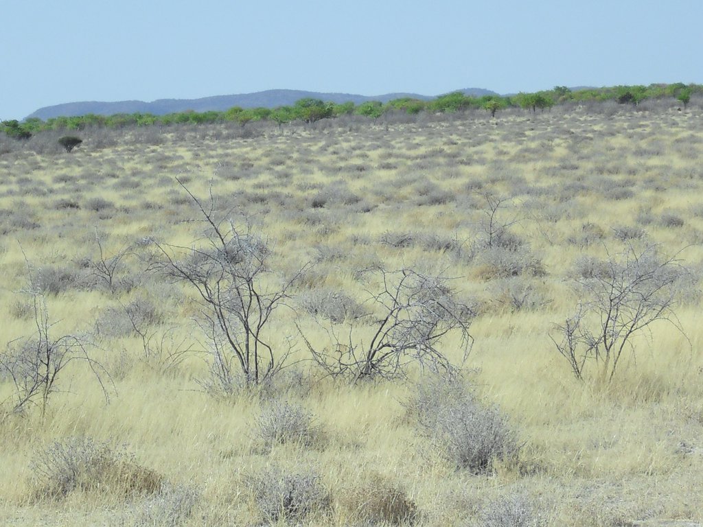 Image CIMG7889.JPG
