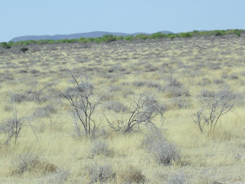Image CIMG7889.JPG