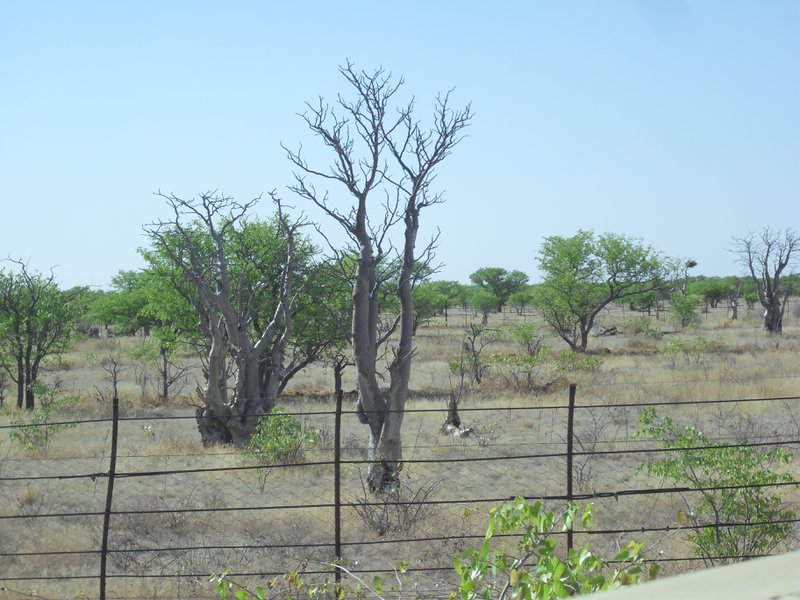 Image CIMG7896.JPG