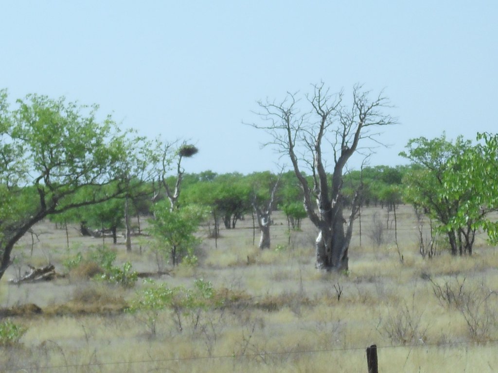 Image CIMG7897.JPG