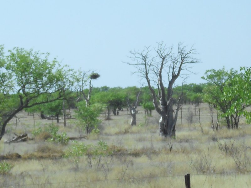 Image CIMG7897.JPG