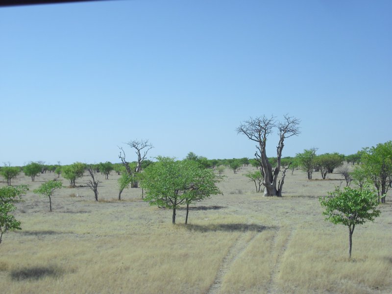 Image CIMG7901.JPG