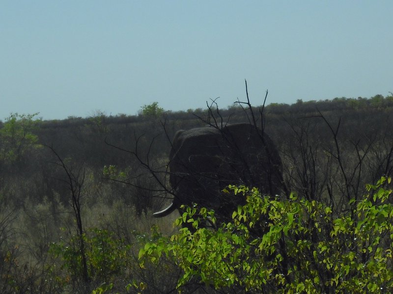 Image CIMG7903.JPG