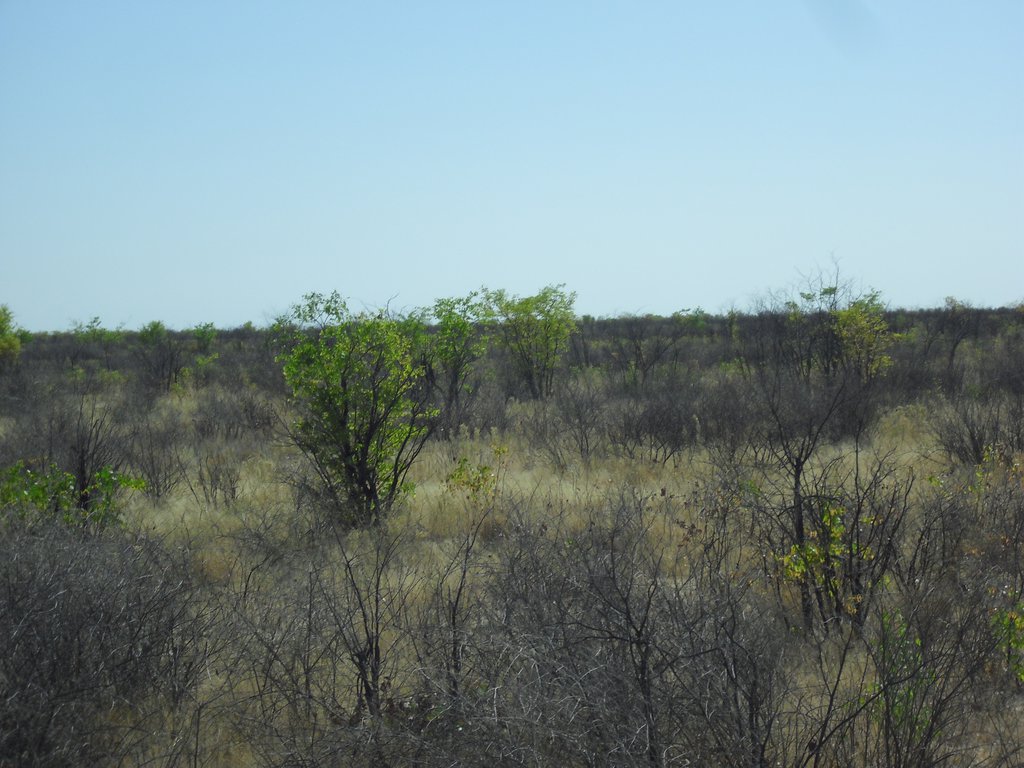 Image CIMG7904.JPG