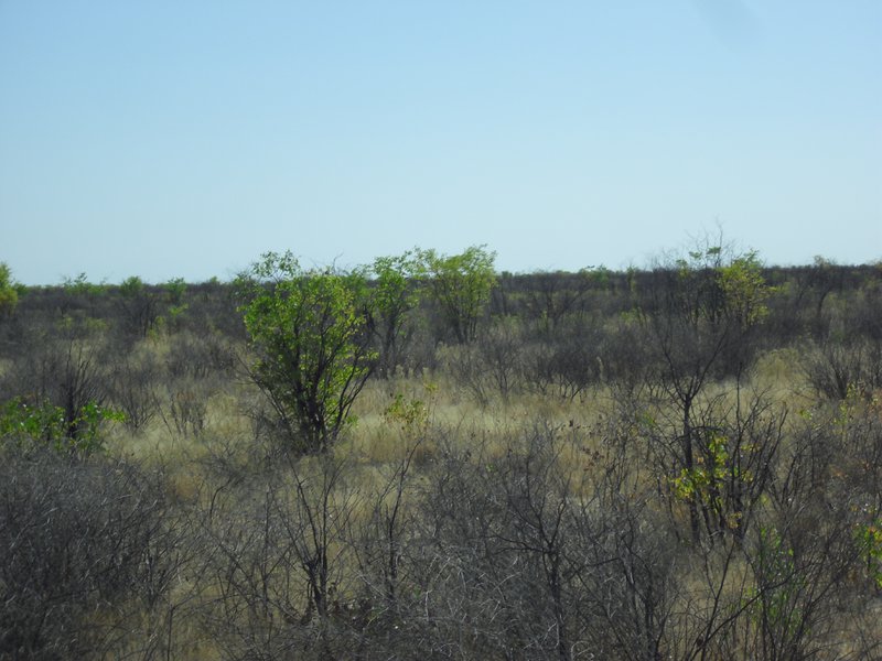 Image CIMG7904.JPG