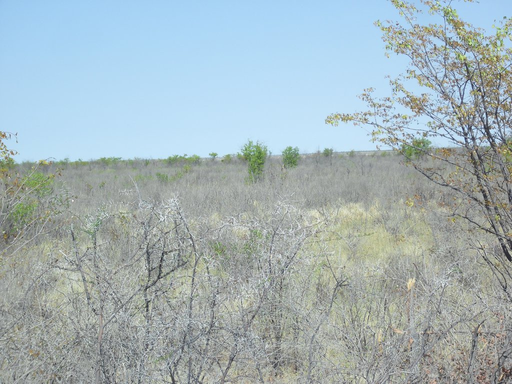 Image CIMG7905.JPG