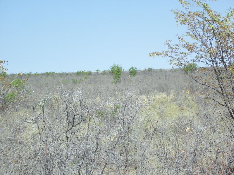 Image CIMG7905.JPG