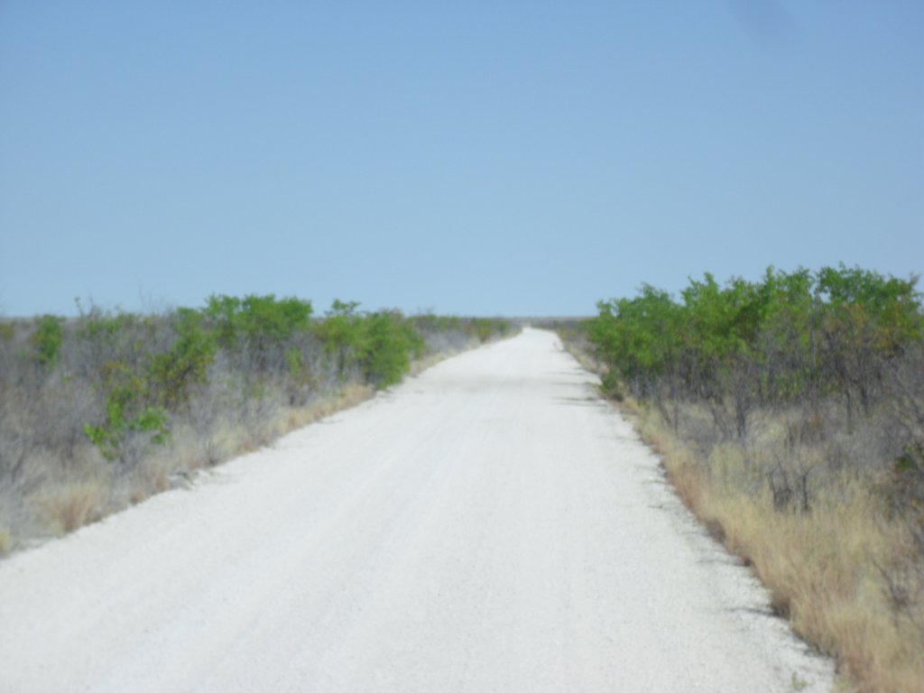 Image CIMG7906.JPG
