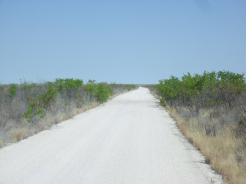 Image CIMG7906.JPG