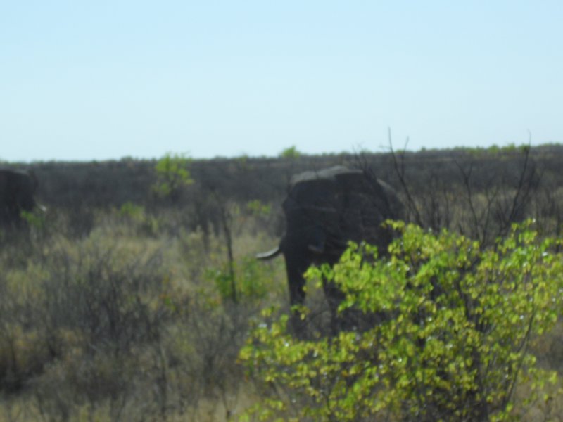 Image CIMG7907.JPG