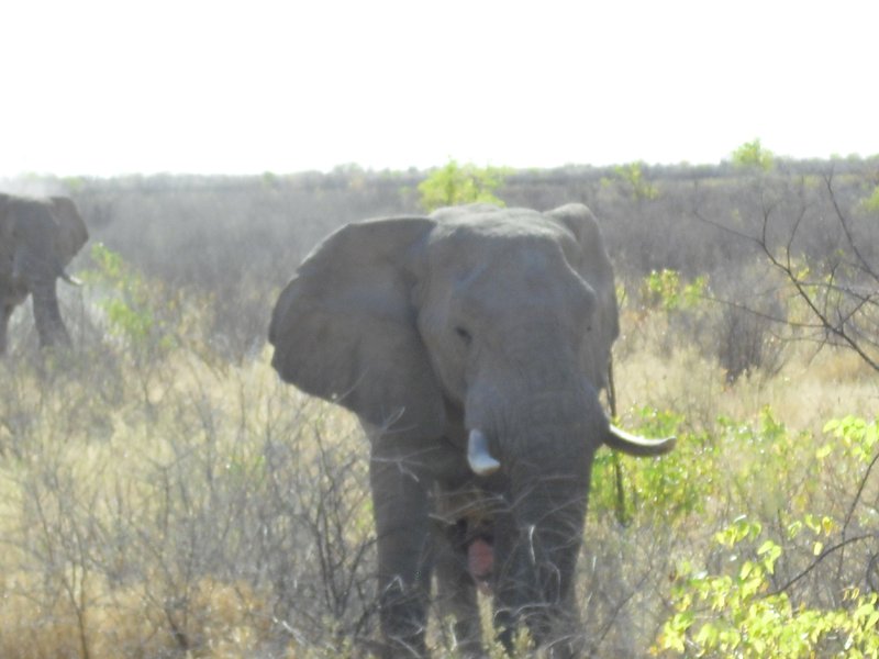 Image CIMG7912.JPG
