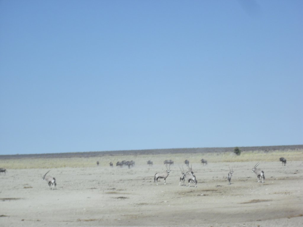 Image CIMG7921.JPG
