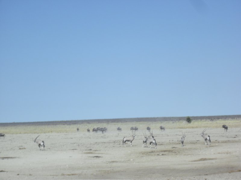 Image CIMG7921.JPG