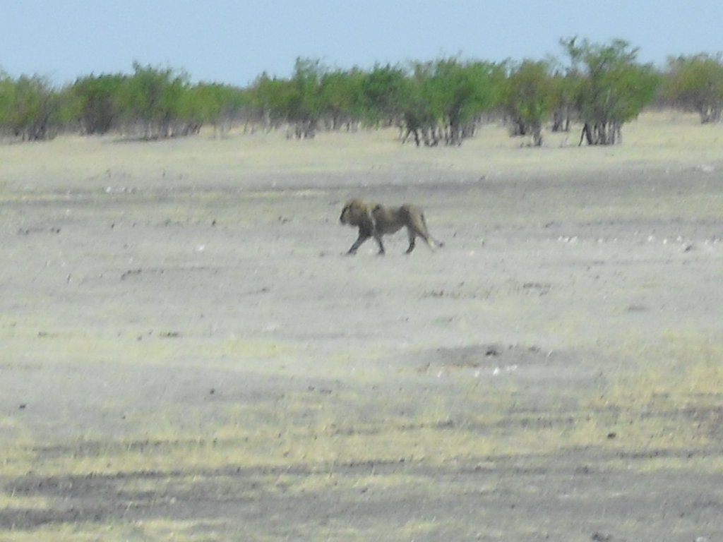 Image CIMG7926.JPG