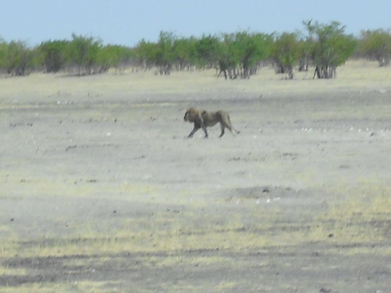 Image CIMG7926.JPG