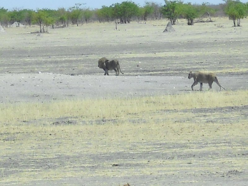 Image CIMG7927.JPG