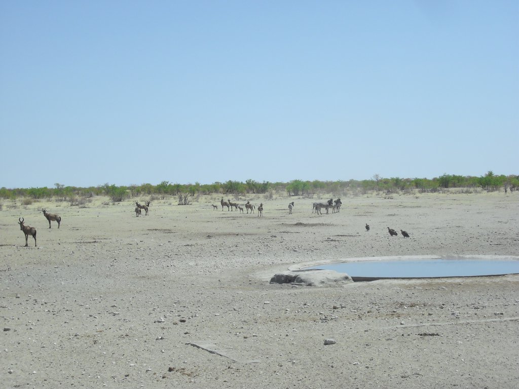 Image CIMG7934.JPG