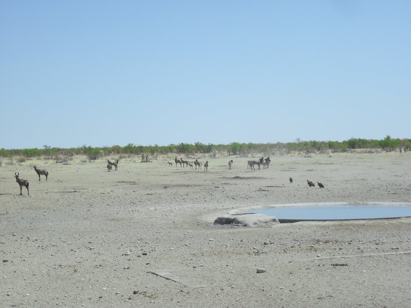 Image CIMG7934.JPG