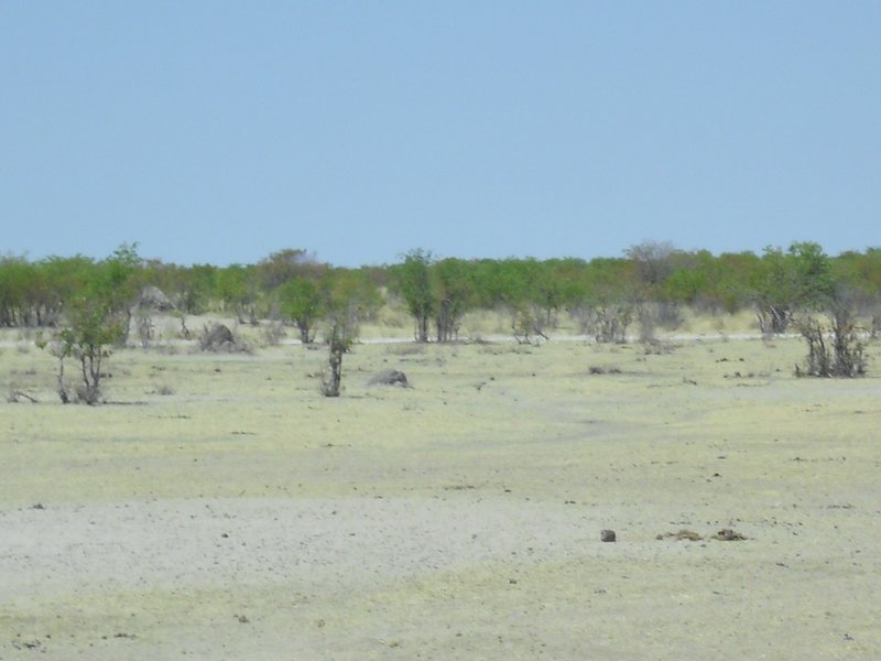 Image CIMG7938.JPG