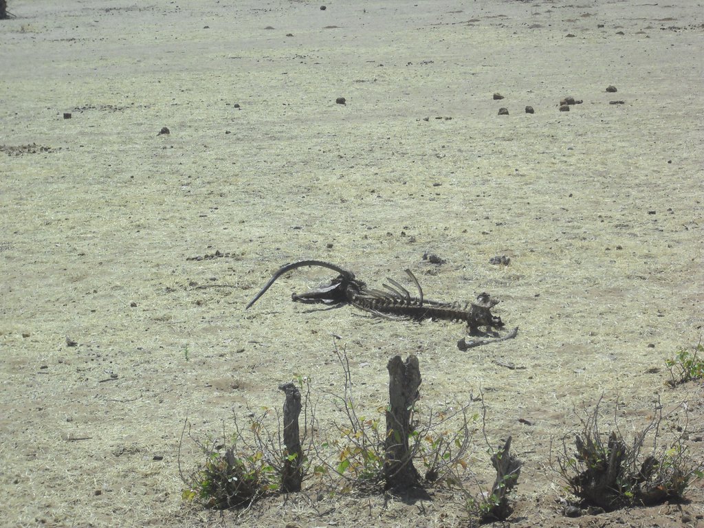 Image CIMG7941.JPG