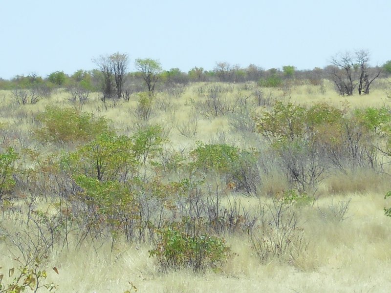 Image CIMG7945.JPG